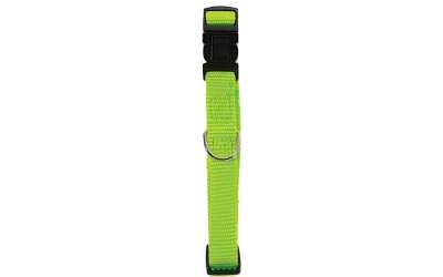 Zgarda Verde Nylon 15 mm